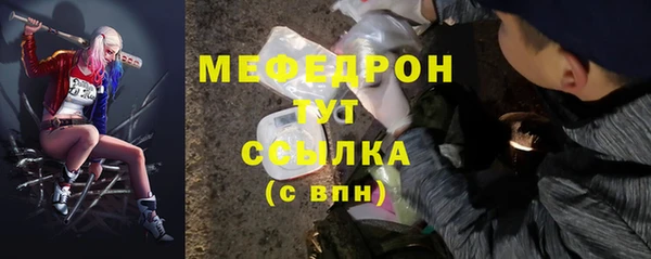 соль ск Инсар