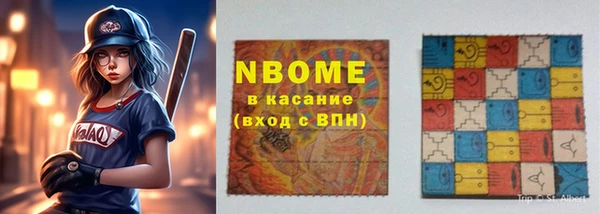соль ск Инсар