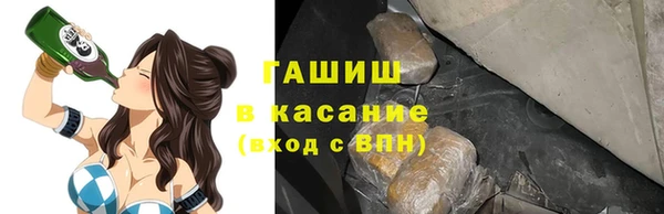 соль ск Инсар