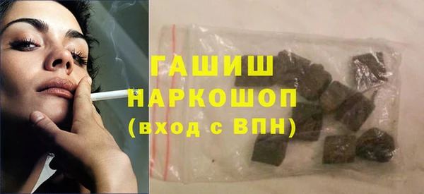 соль ск Инсар