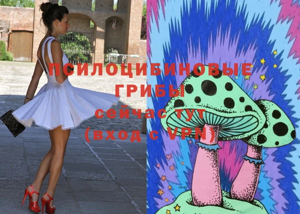 эйфоретик Каменка