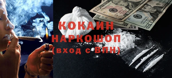 соль ск Инсар
