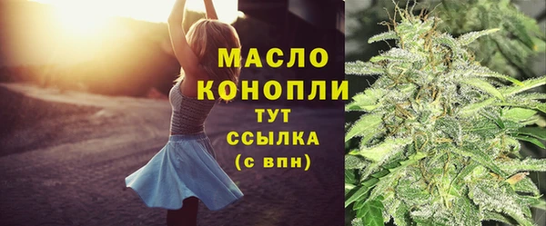 соль ск Инсар