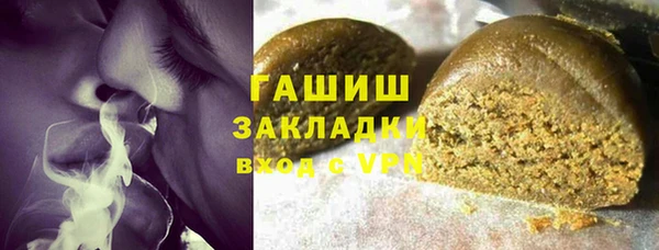 соль ск Инсар